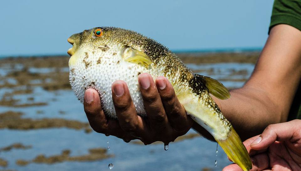 Narara-Marine-National-Park